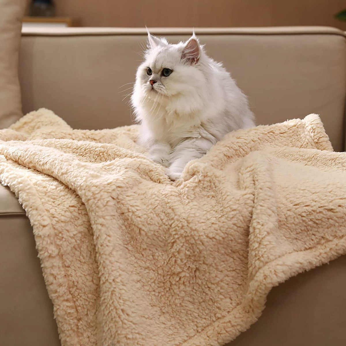 Warm Cotton Velvet Dog Blanket