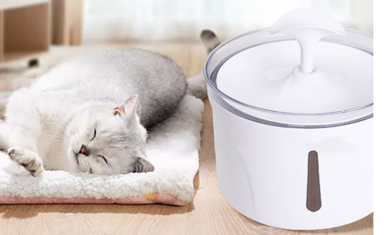Automatic Filtering Pet Water Dispenser