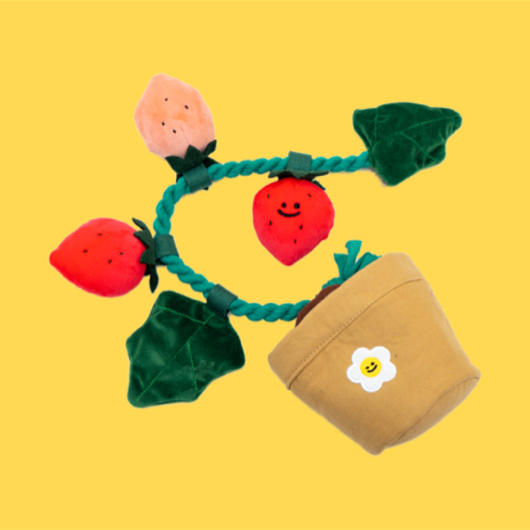 Strawberry Potted Plant Set Tibetan Food Bb Called Pull Toy