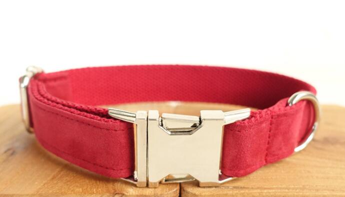 Everyday Dog Traction Collar