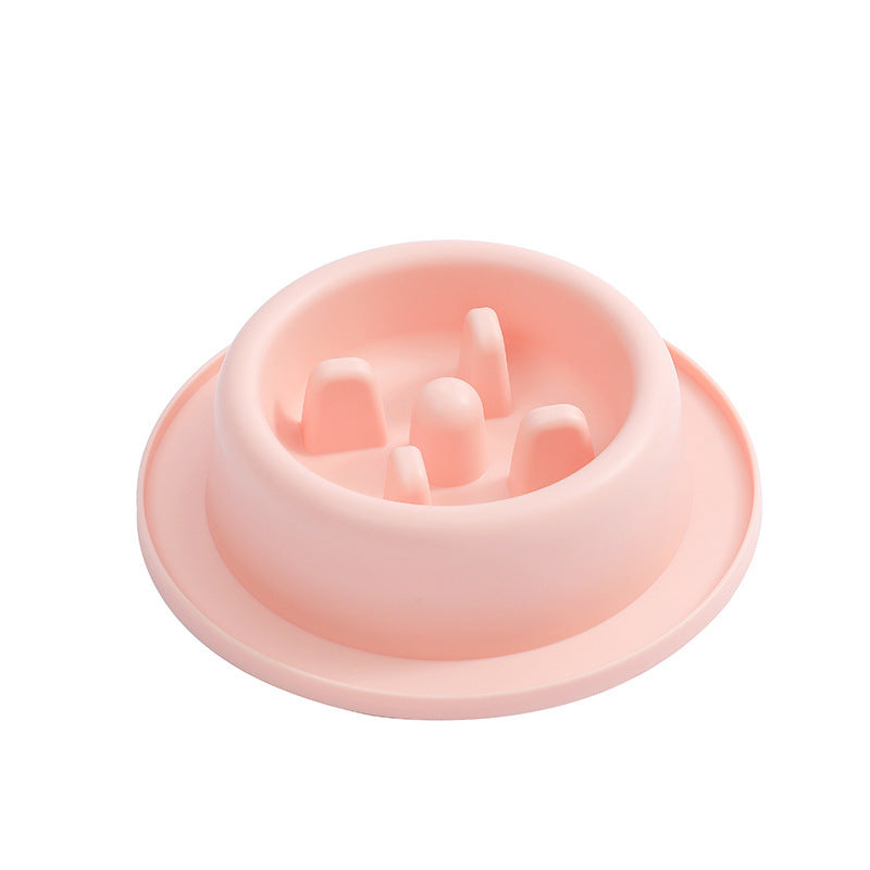 Pet Slow Food Bowl