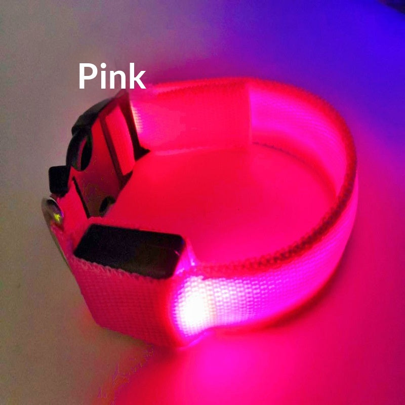 USB-Charging Glow-in-the-Dark Dog Collar