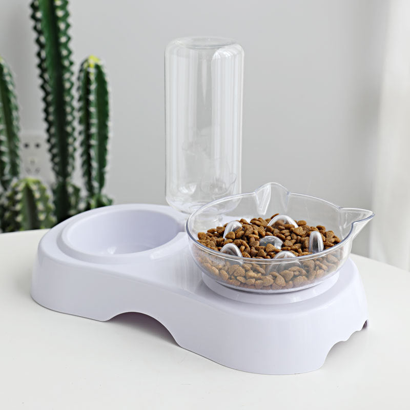 Transparent Cat Feeding and Drinking Bowl