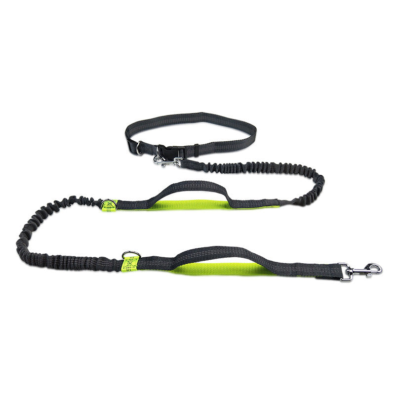Reflective Double Telescopic Running Dog Leash