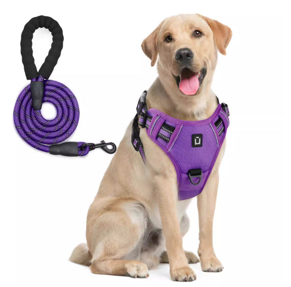 Dog Harness And Leash Combo With Escape Proof Design