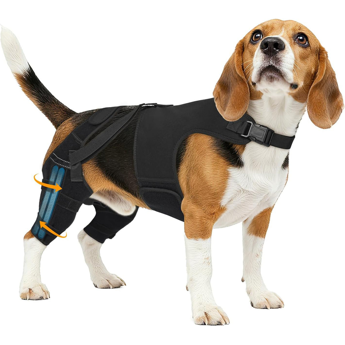 Pet Dog Rear Leg Protective Gear