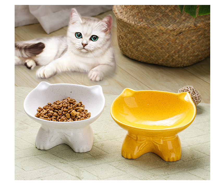 Anti - Upset Pet Bowl