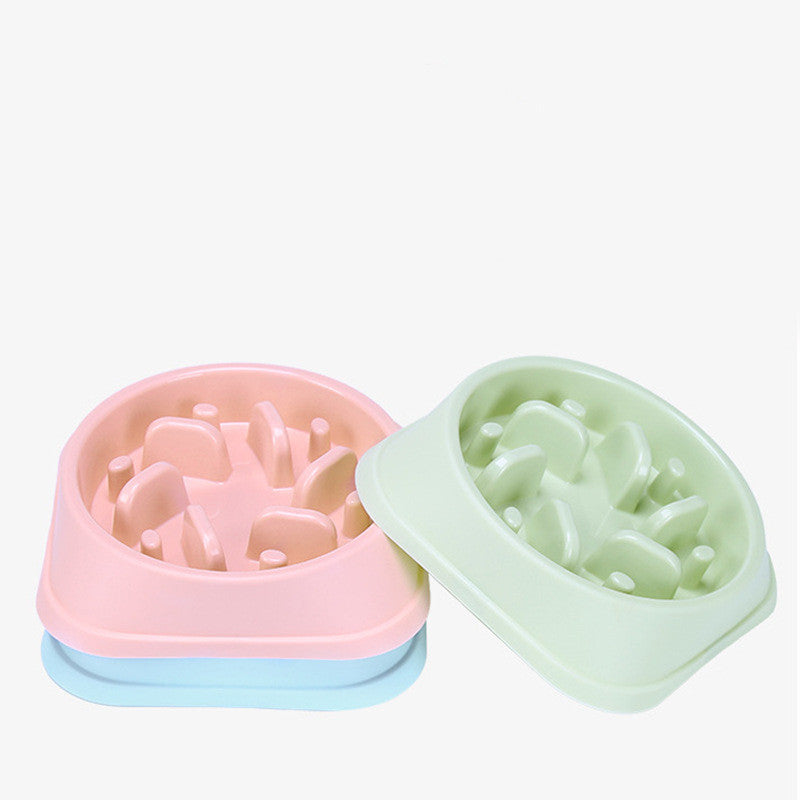 Slow Food Pet Bowl
