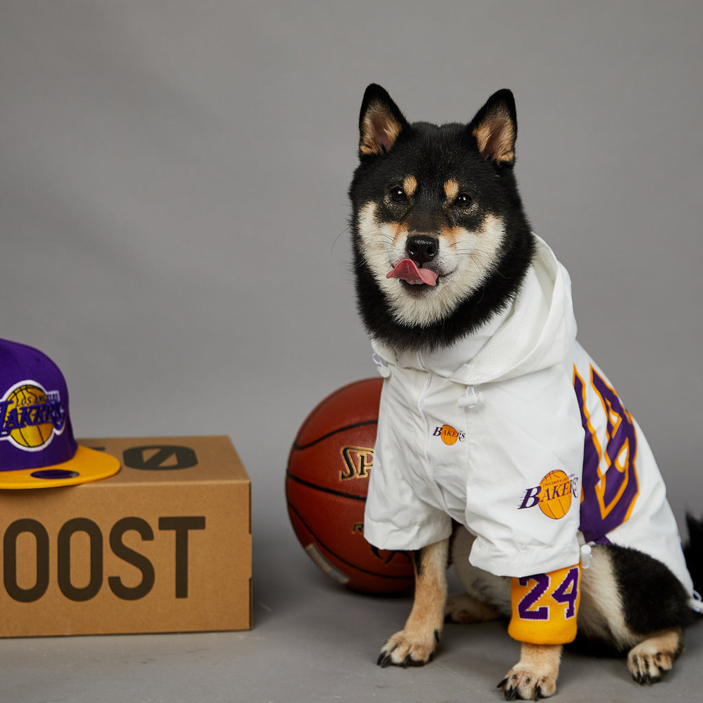 Polyester Dog Shell Jacket