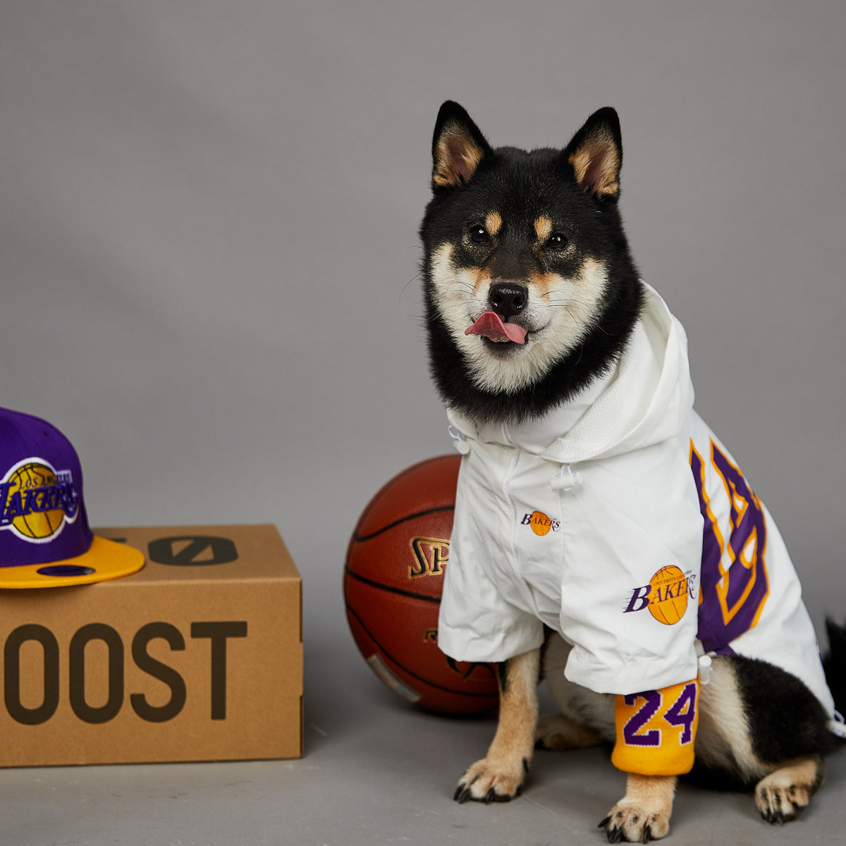 Polyester Dog Shell Jacket