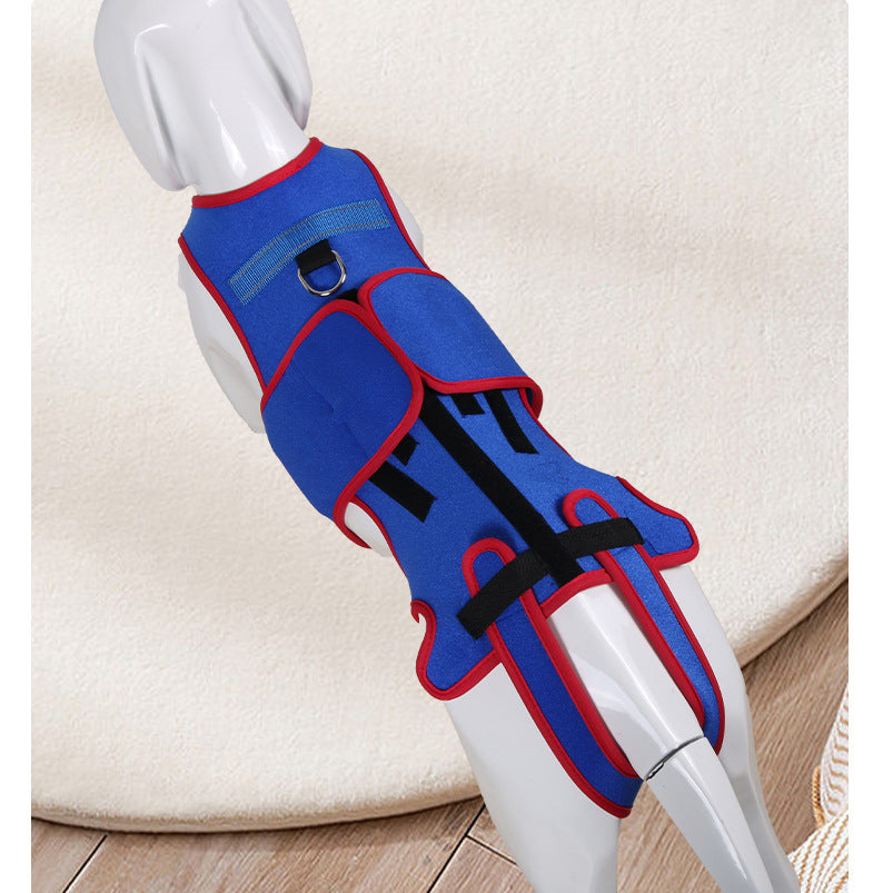 Dog Spine Support Anti-Hunch Jacket