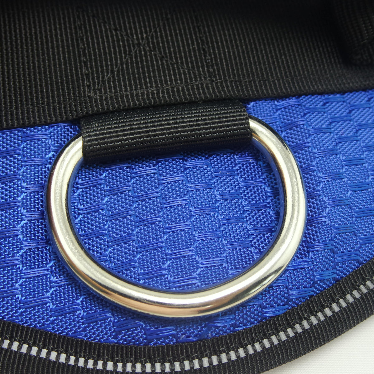 Custom Pet Harness