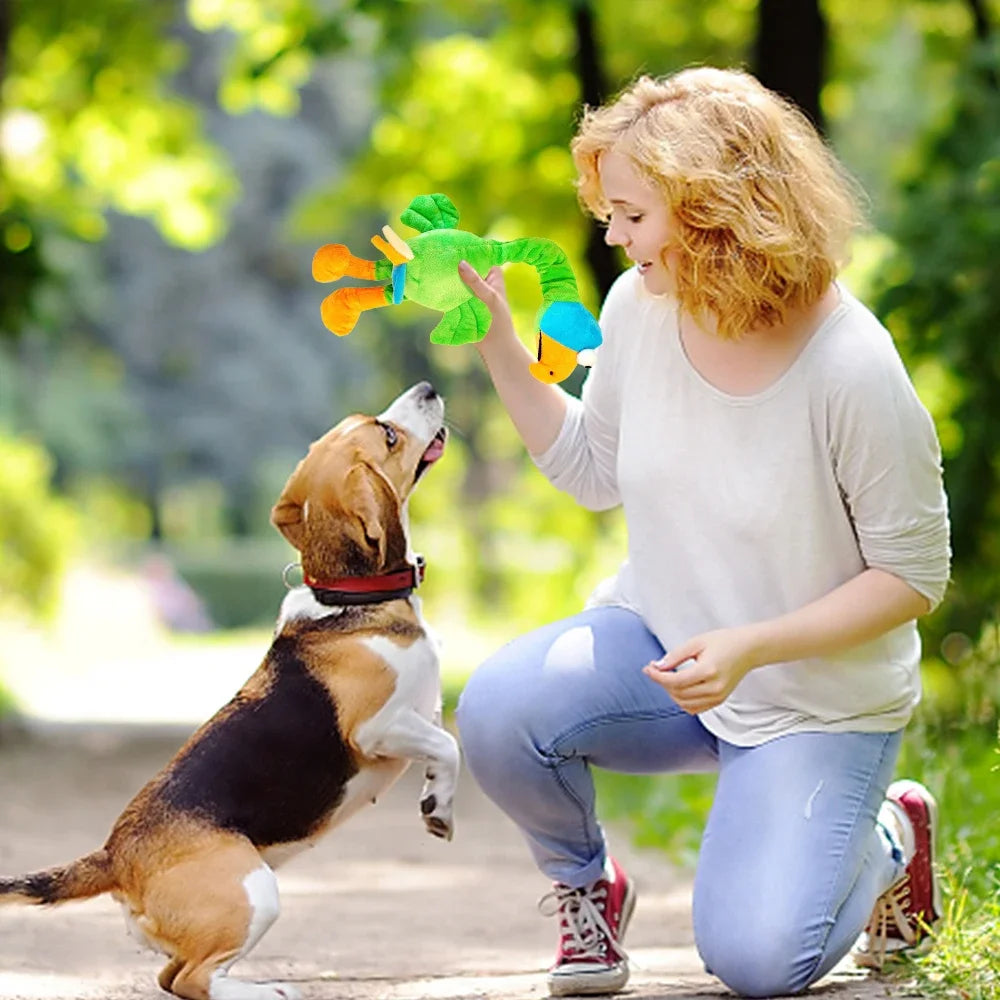 Screaming Chicken Squeaky Dog Toy Set