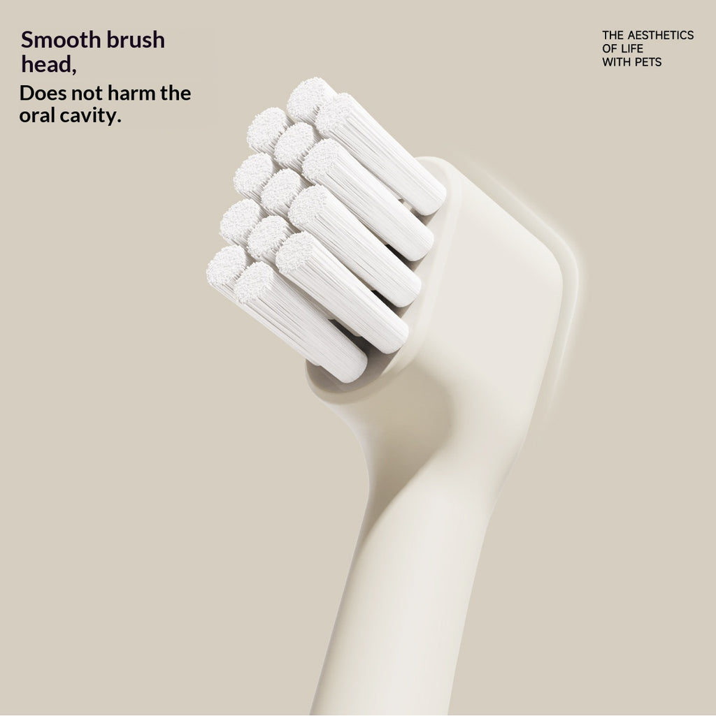 Brush To Remove Plaque And Prevent Tartar