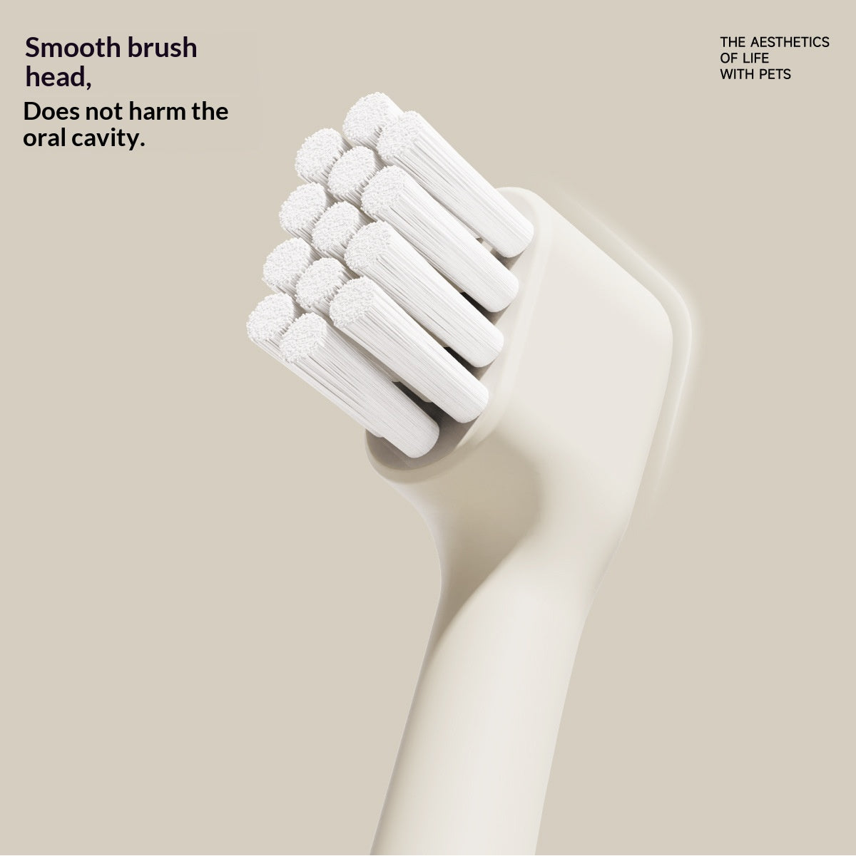 Brush To Remove Plaque And Prevent Tartar