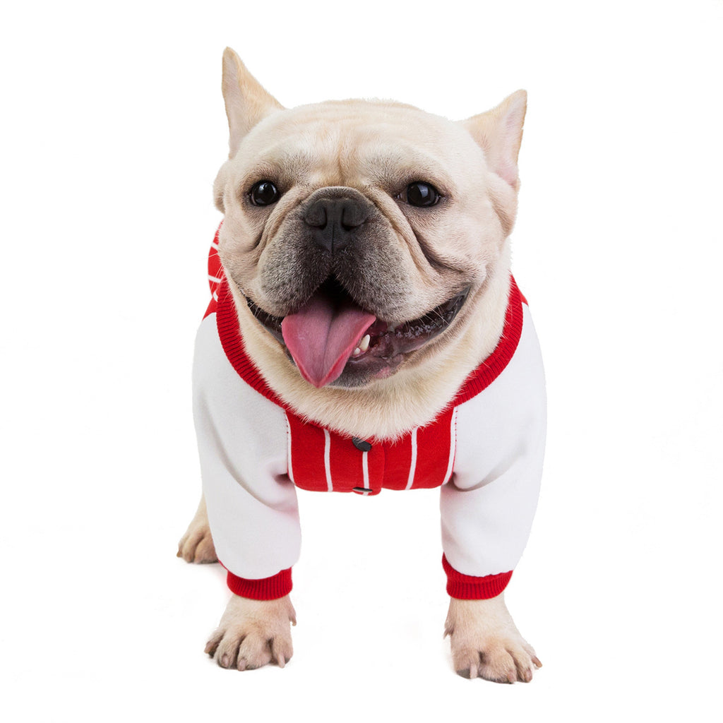 Bulldog Dog Clothes