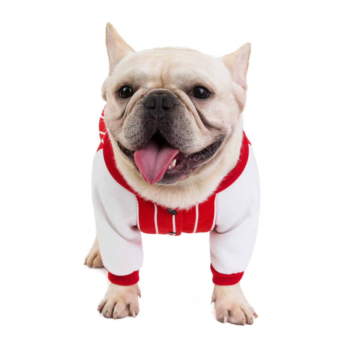 Bulldog Dog Clothes
