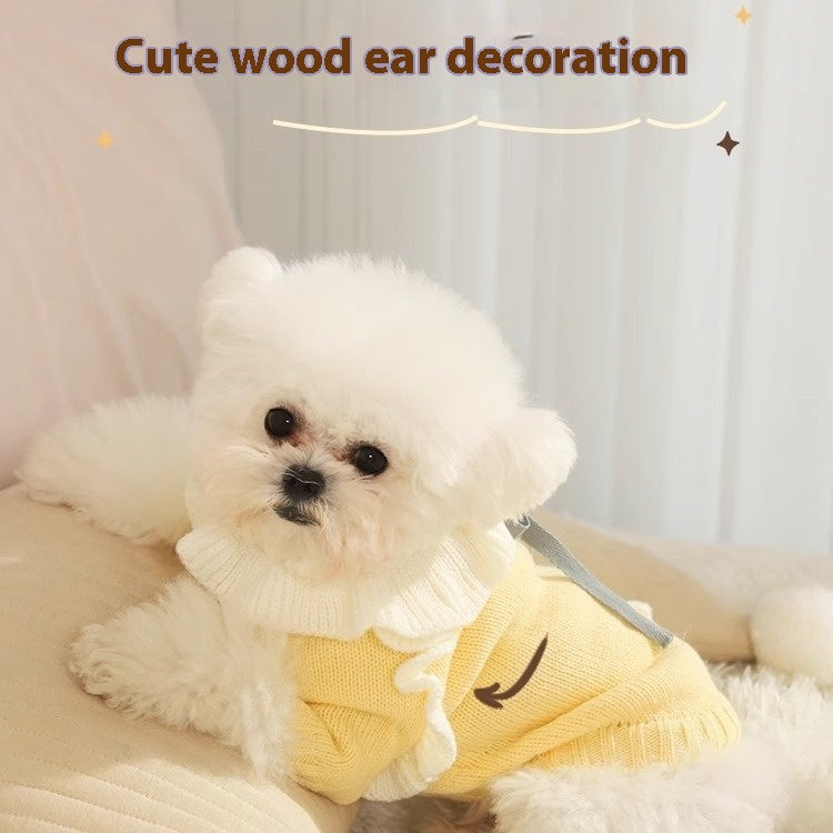Autumn Dog Puppy Sweater