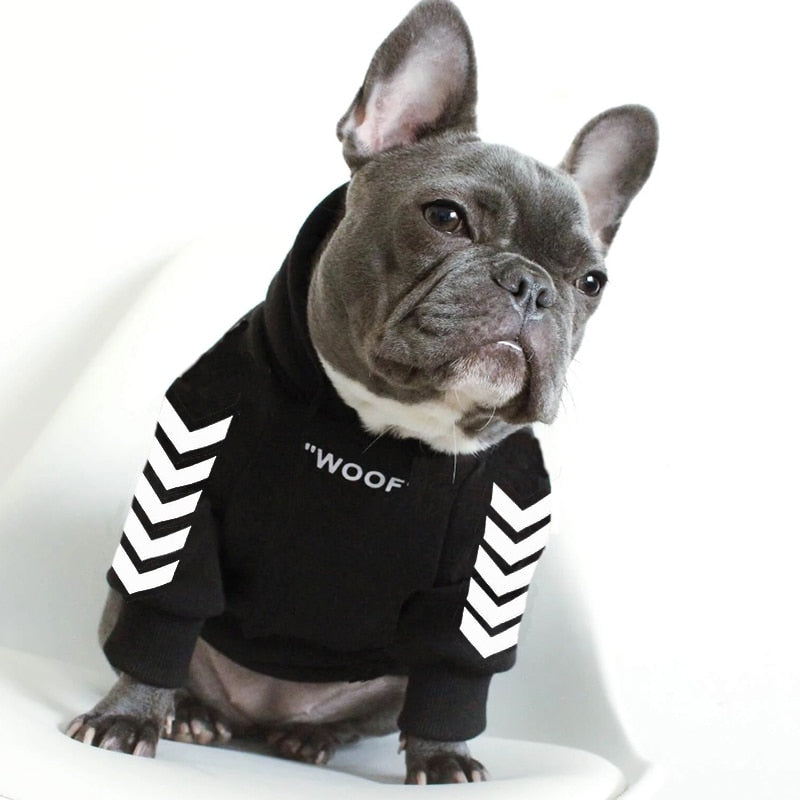 Winter Dog Jacket With Hood