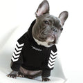 Winter Dog Jacket With Hood