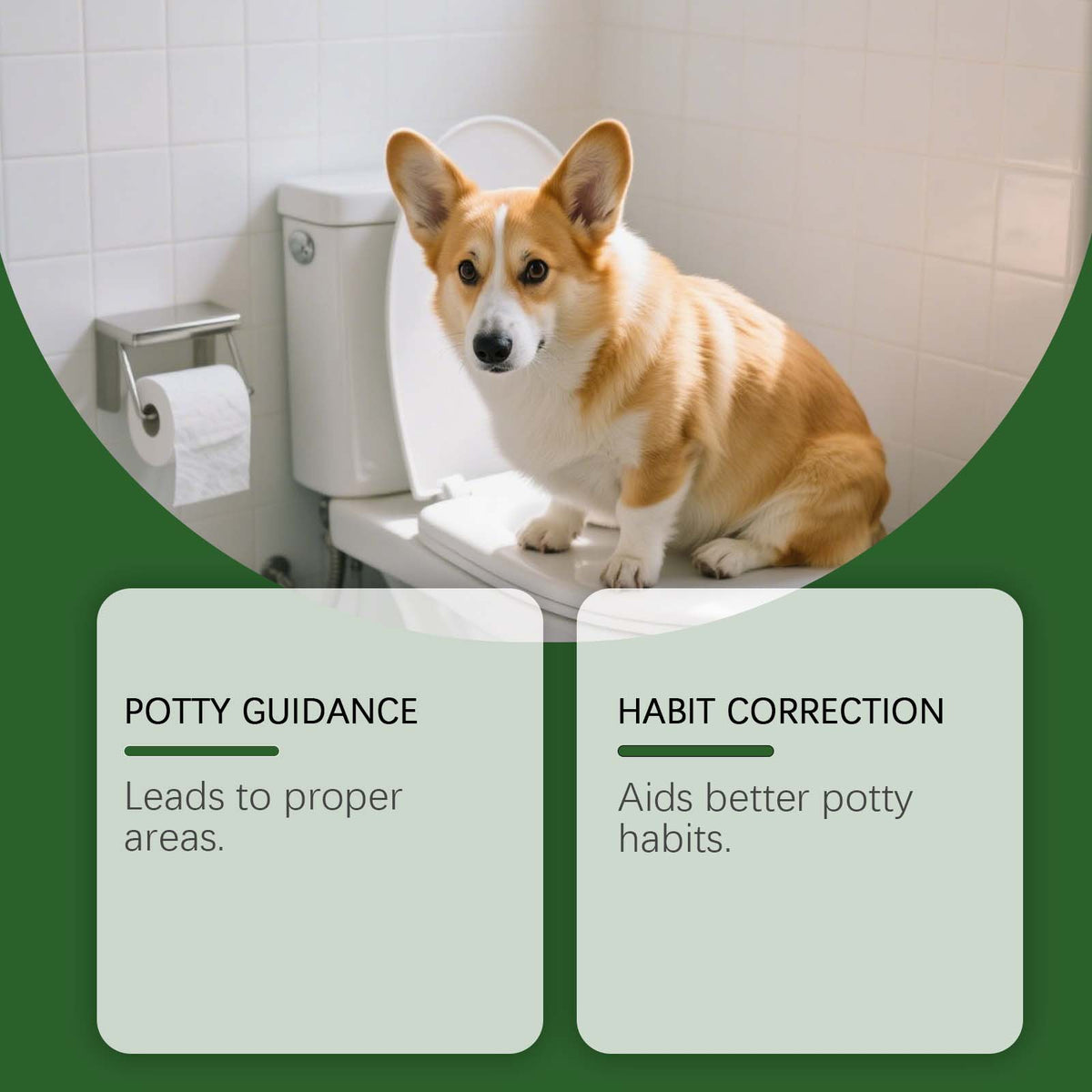 Dog Potty Training Spray