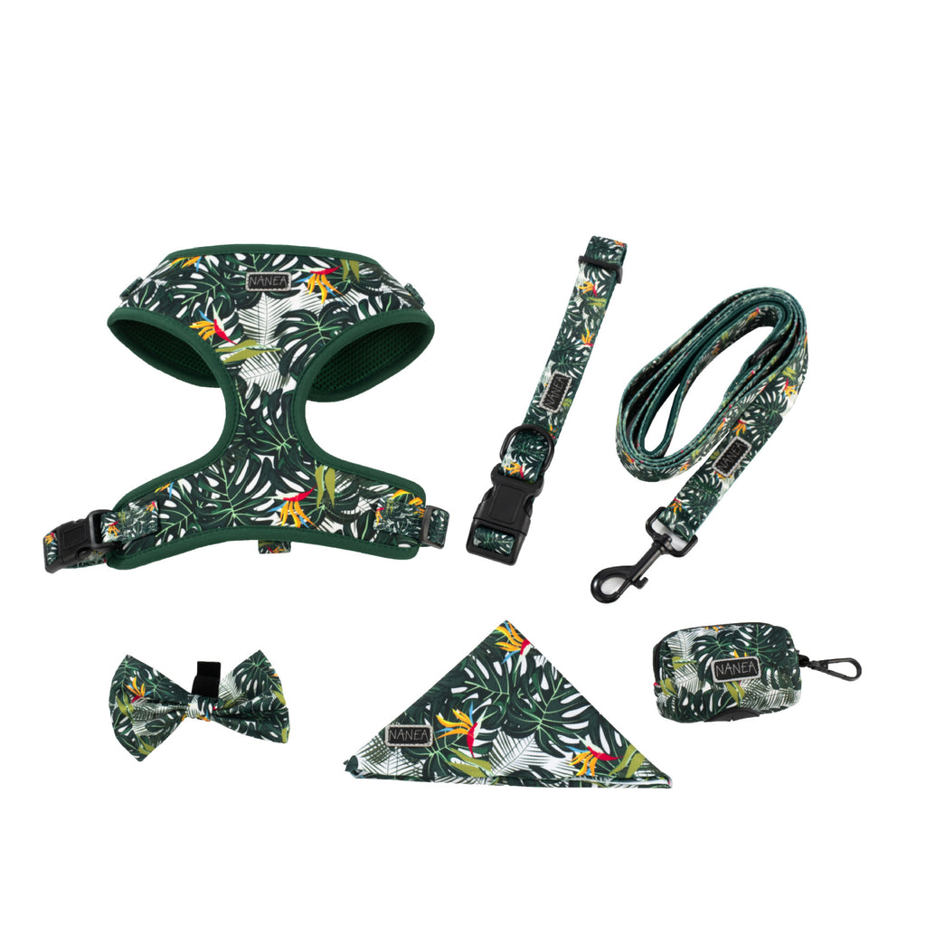 Dog Leash Harness And Collar Set