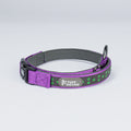Holographic Reflective Dog Leash
