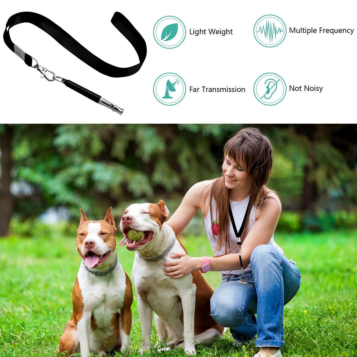 Adjustable Dog Training Whistle Two-Pack