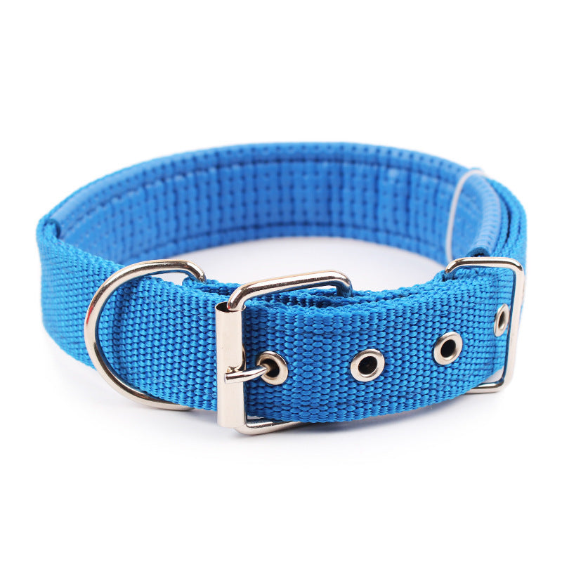 Pp Braid Lined Polypropylene Pet Foam Dog Collar