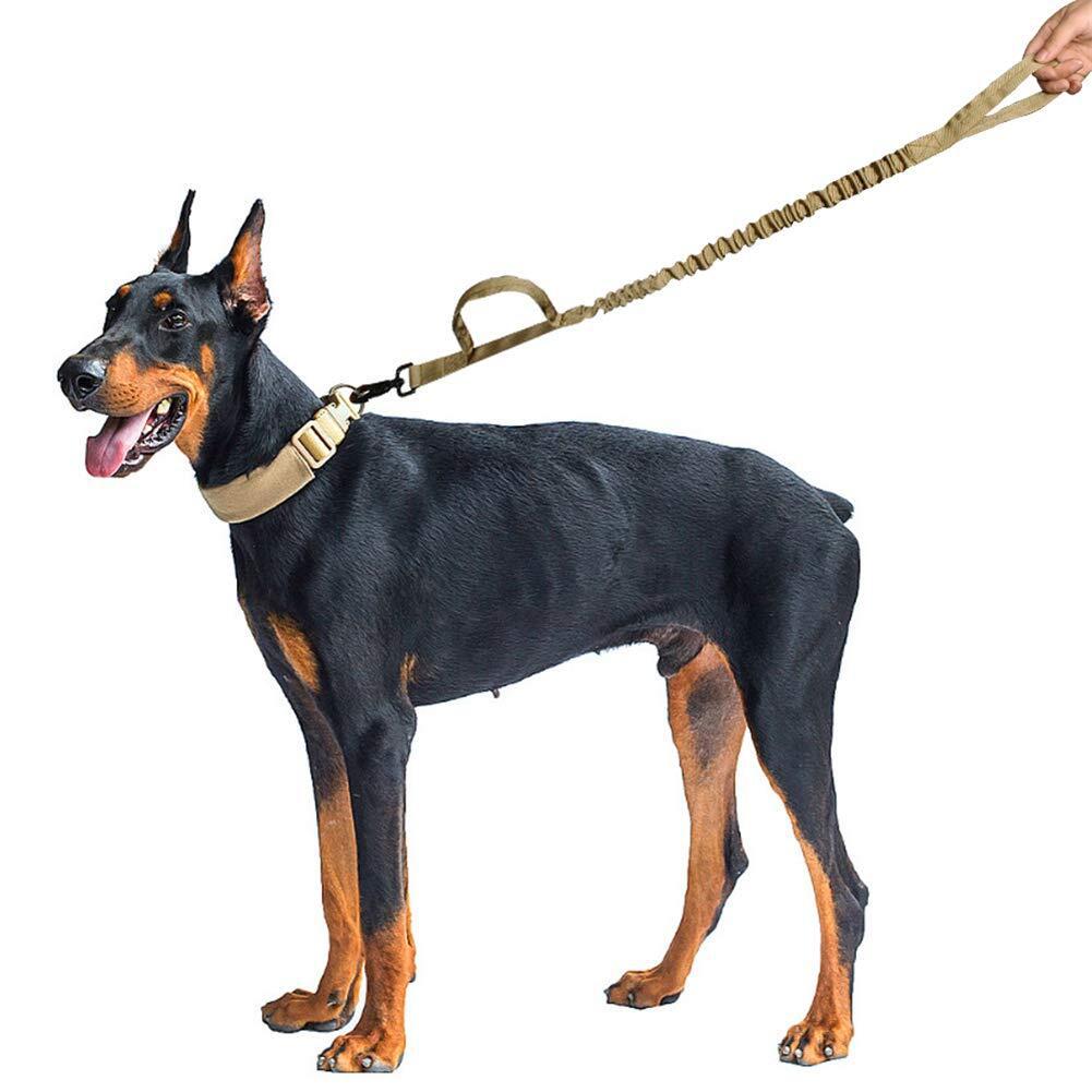 Elastic Dog Training Leash With Two Handles