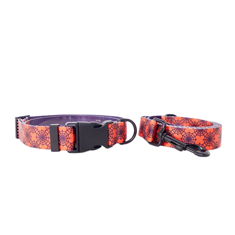 Floral Spiderweb Dog Collar and Leash