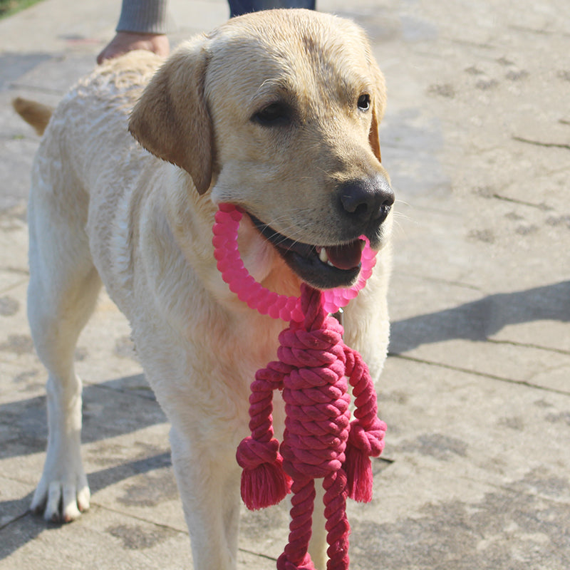 Big Dog Interactive Knot Toy