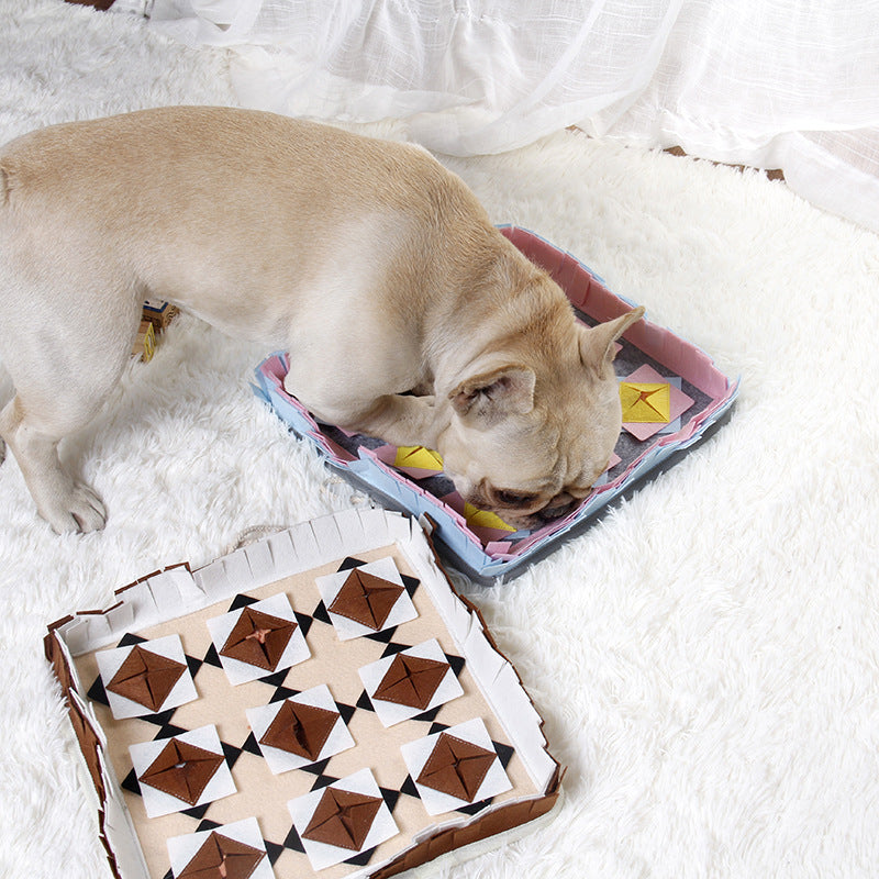 The Dog Sniffs The Mat