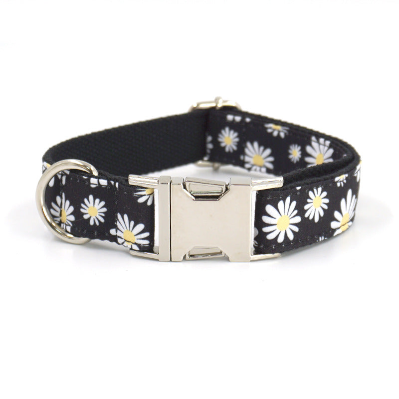 Engraved Dog Collar and Leash Set