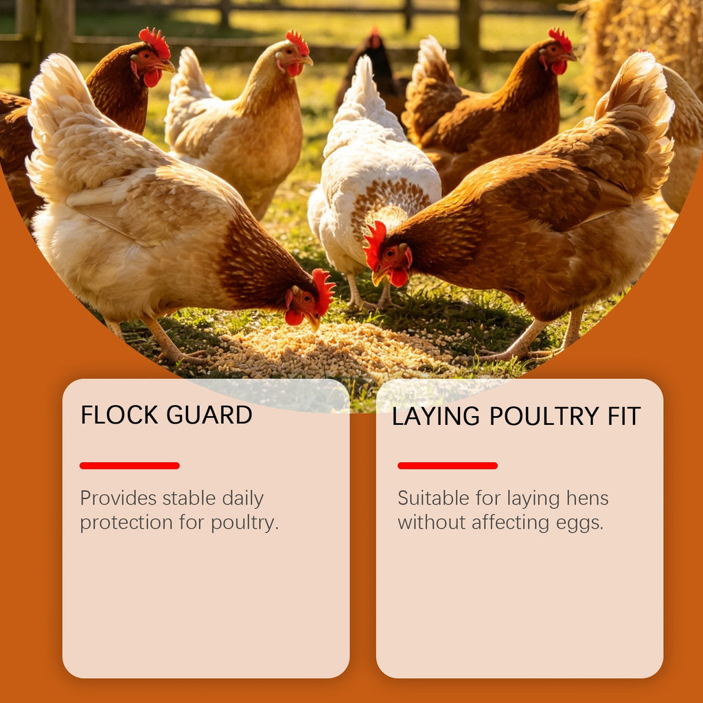 Chicken Care Nutritional Feed Additive