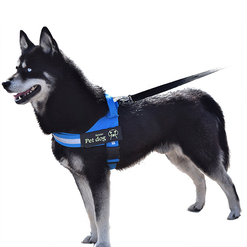 Dog Leash And Chest Harness