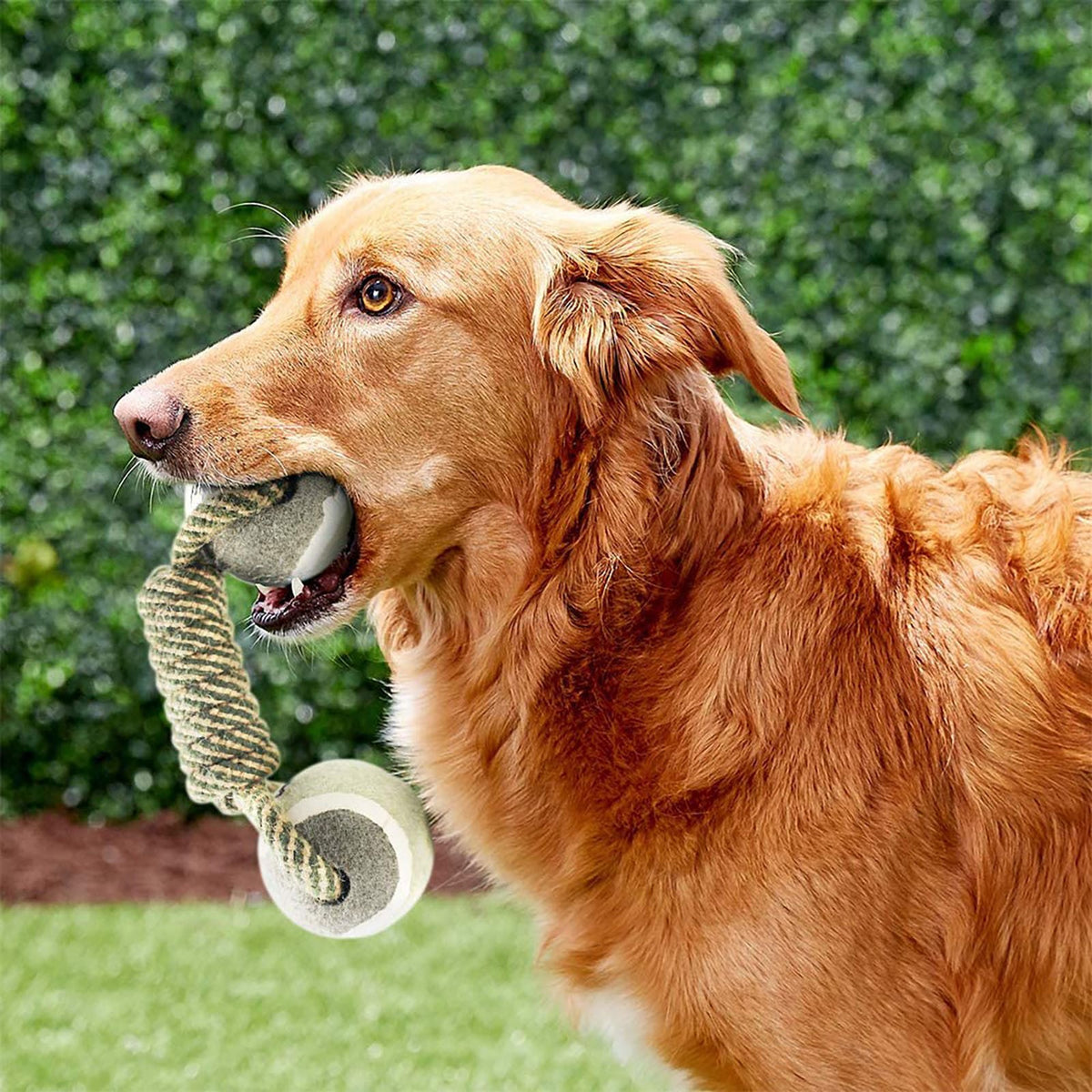 Pet Dog Toys For Large Small Dogs Toy Interactive Cotton Rope Mini Dog Toys Ball For Dogs Accessories Toothbrush Chew Premium Cotton-Poly Tu