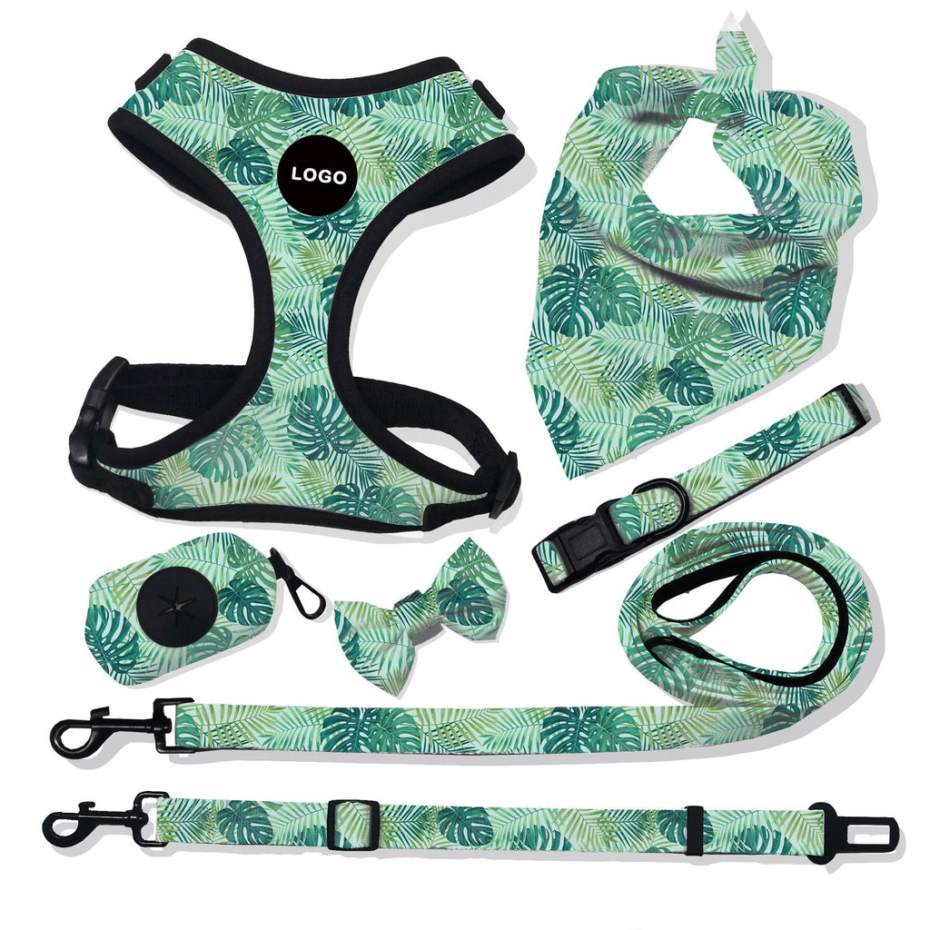 Breathable Dog Harness Leash Set