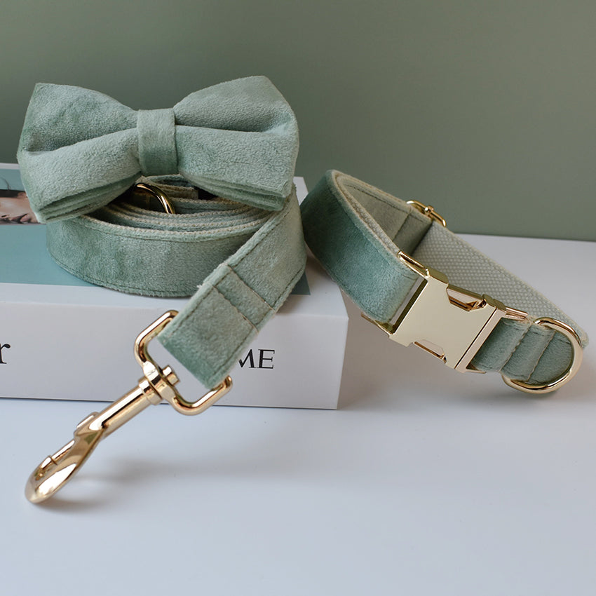 Mint Green Dog Collar And Leash