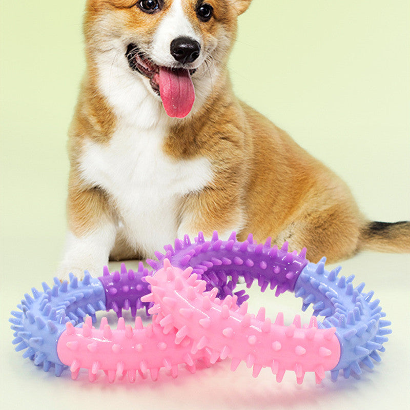 Tpr Pet Toy Three-Color Piercing Ring Dog Molar