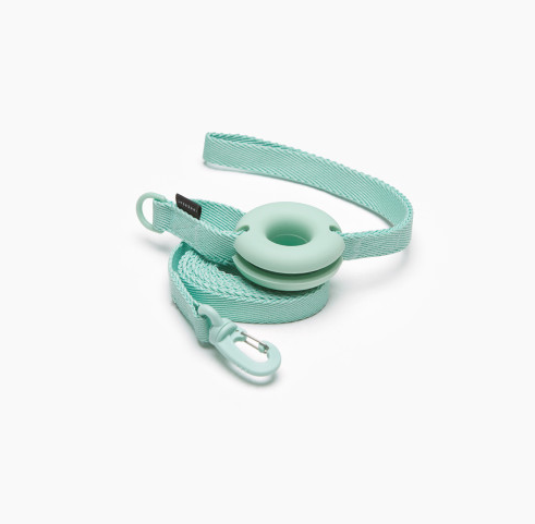 Pet Leash In Macaron Colors