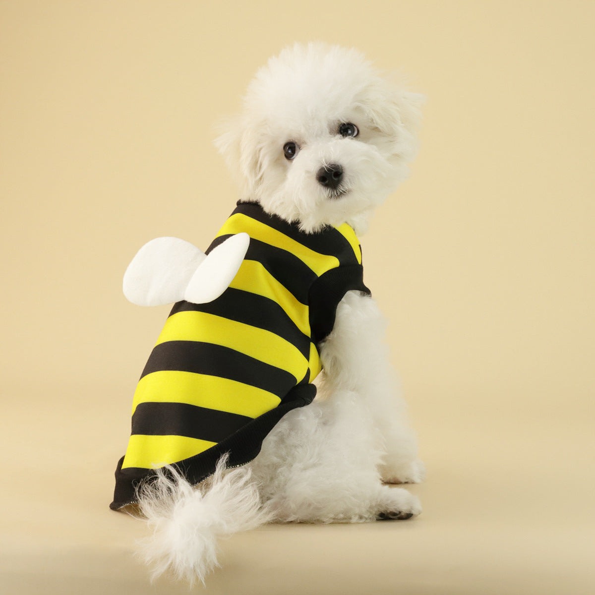 Frog Design Dog Sweater