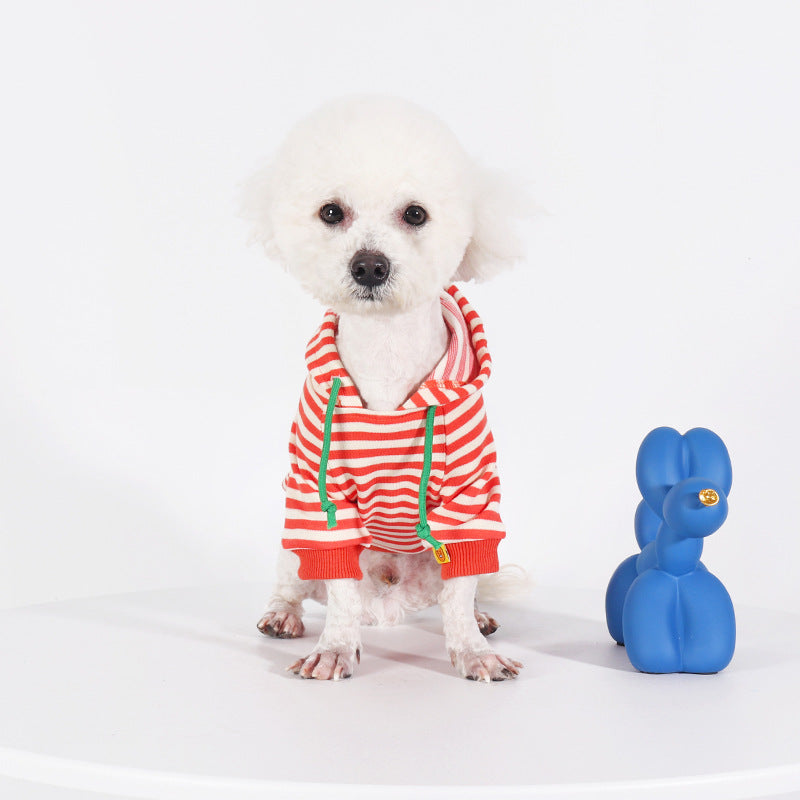 Thin Orange Hooded Pet Sweater