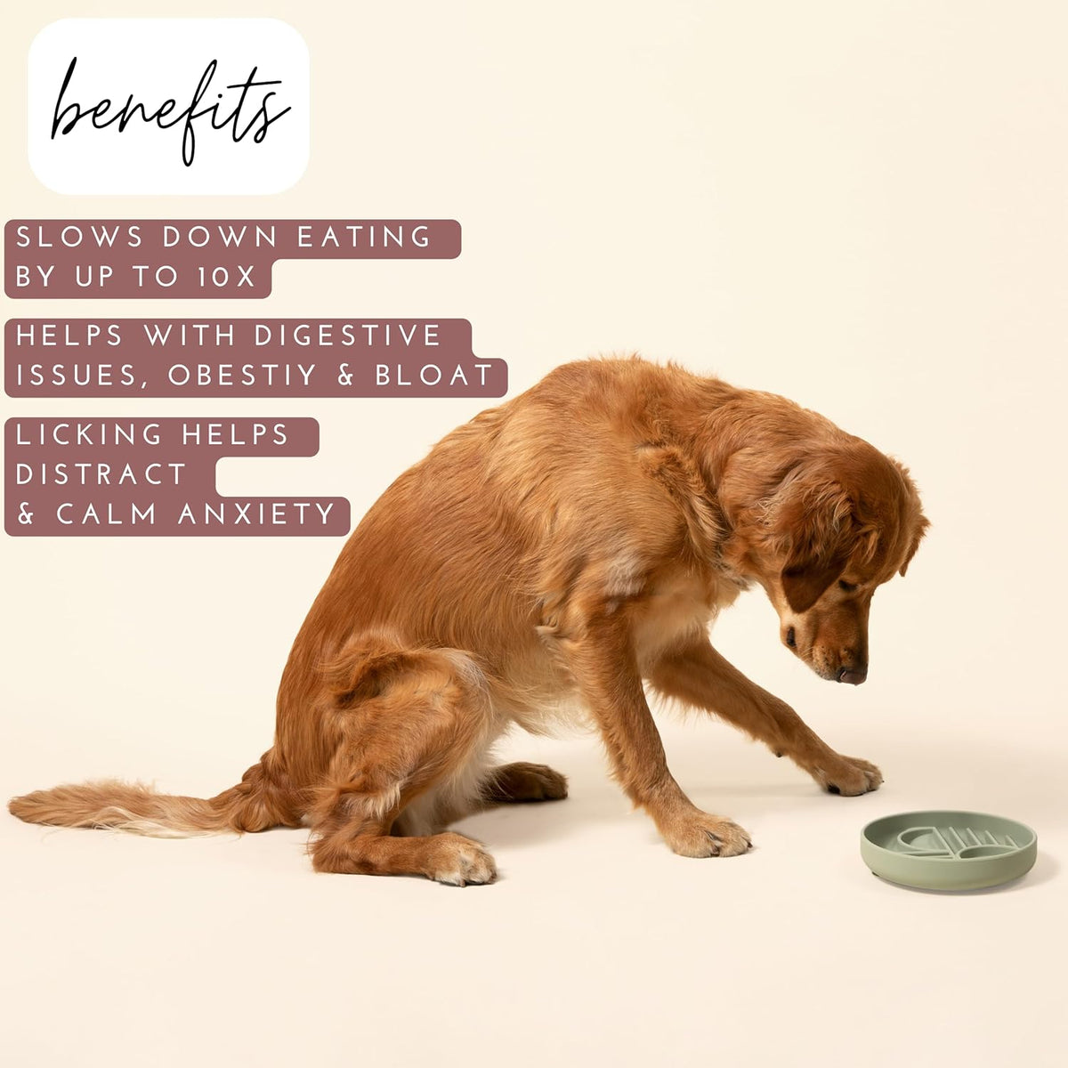 The Slowdown Bowl Silicone Slow Feeder For Dogs Puppies Slow Eating Modern Lick Mat Design Reduces Gulping Dishwasher Fit For All Breed Meal