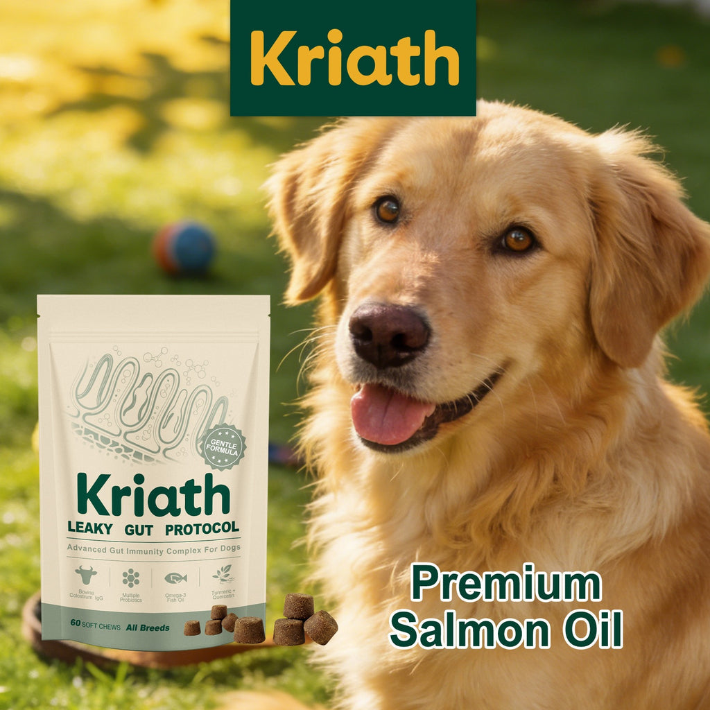 Dog Intestinal Care Complex Supplement