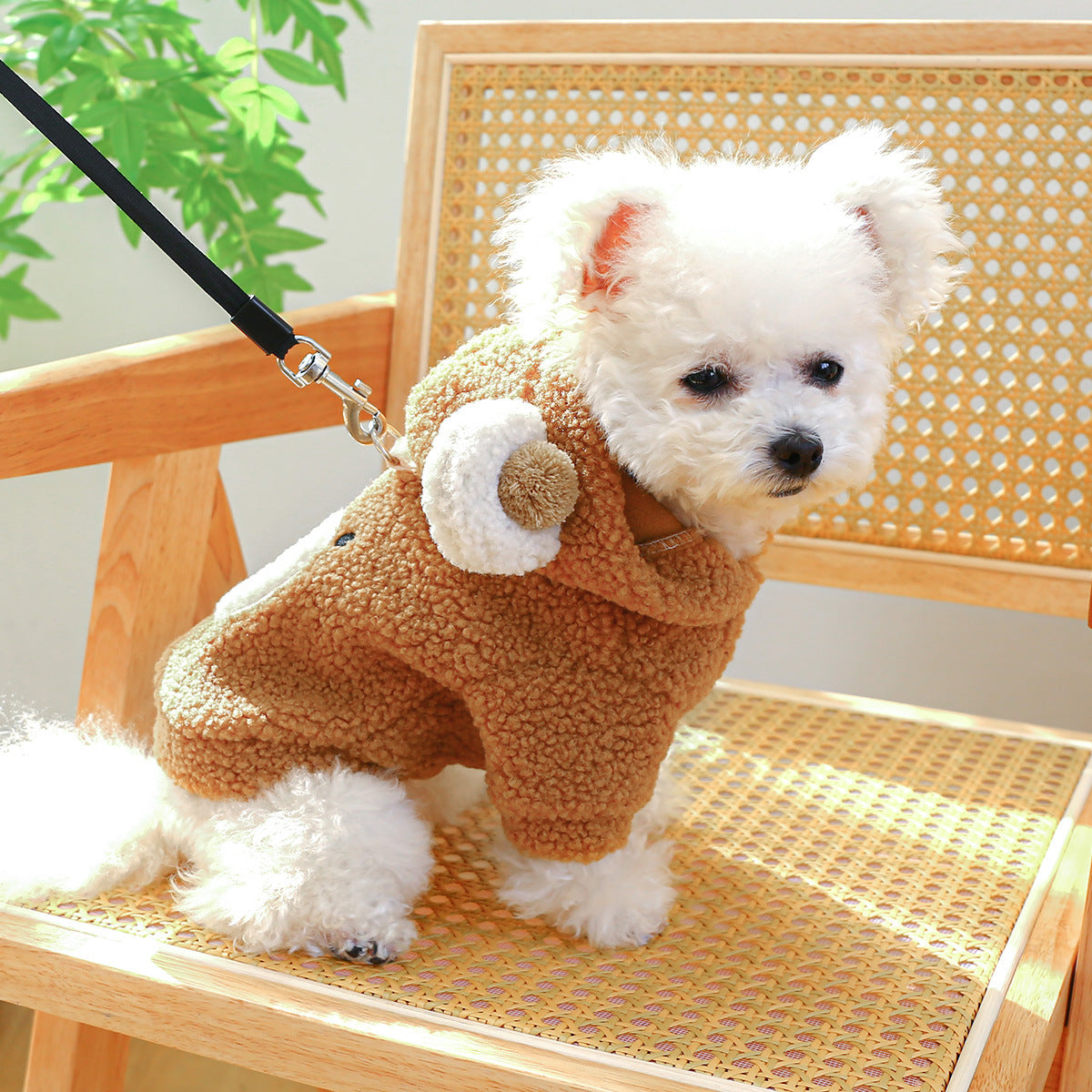 Lambswool Round Bear Dog Hoodie