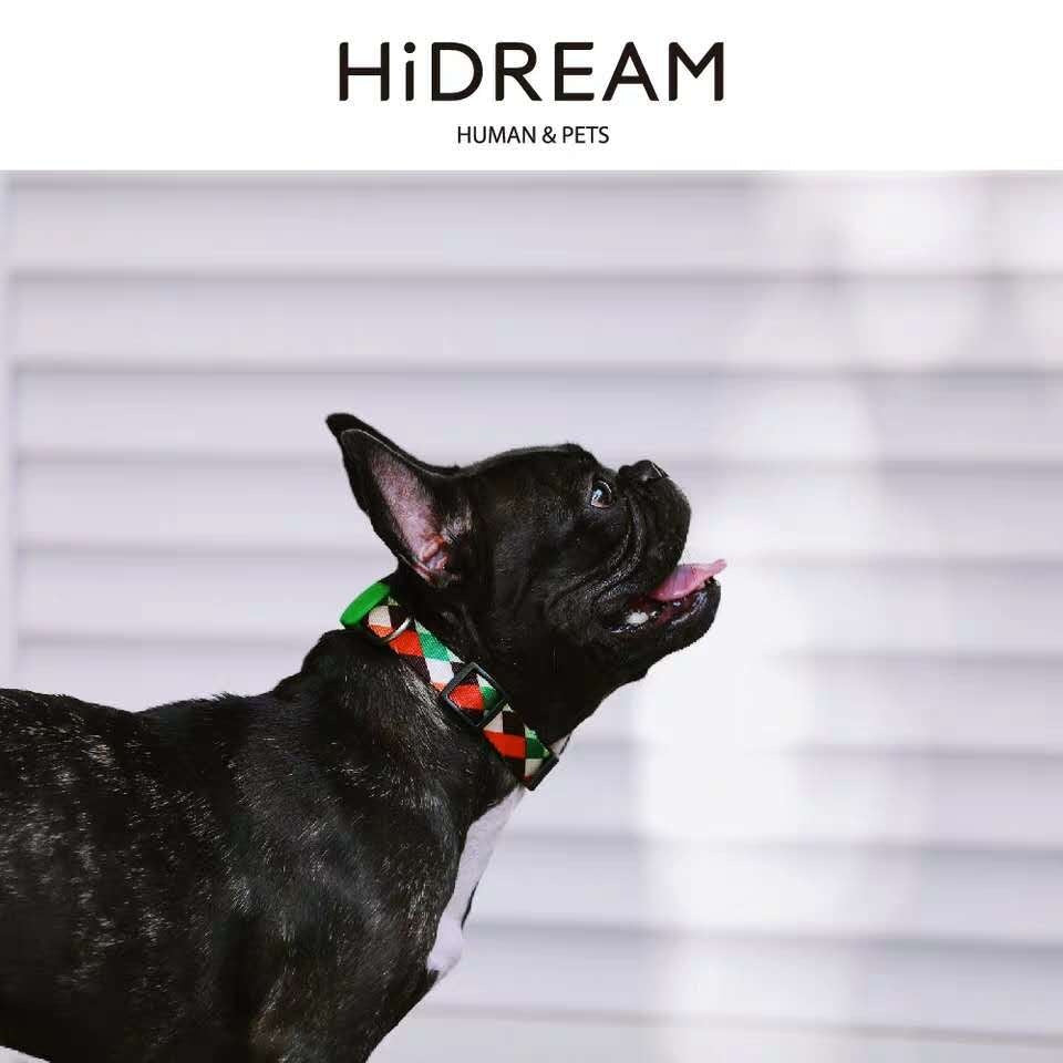 Half P Explosion-Proof Collar Pet Traction Neckband