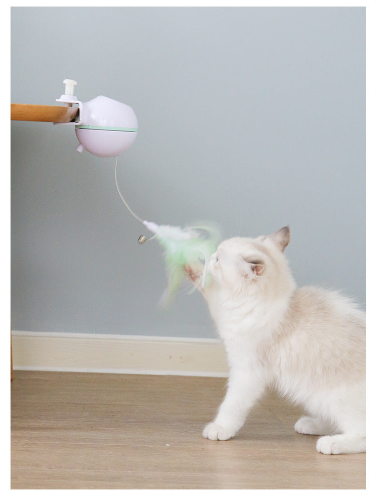 Pet Toy Ball