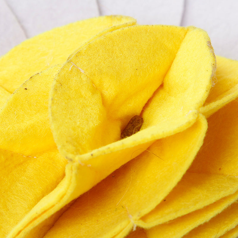 Dog Sniffing Pad Toy