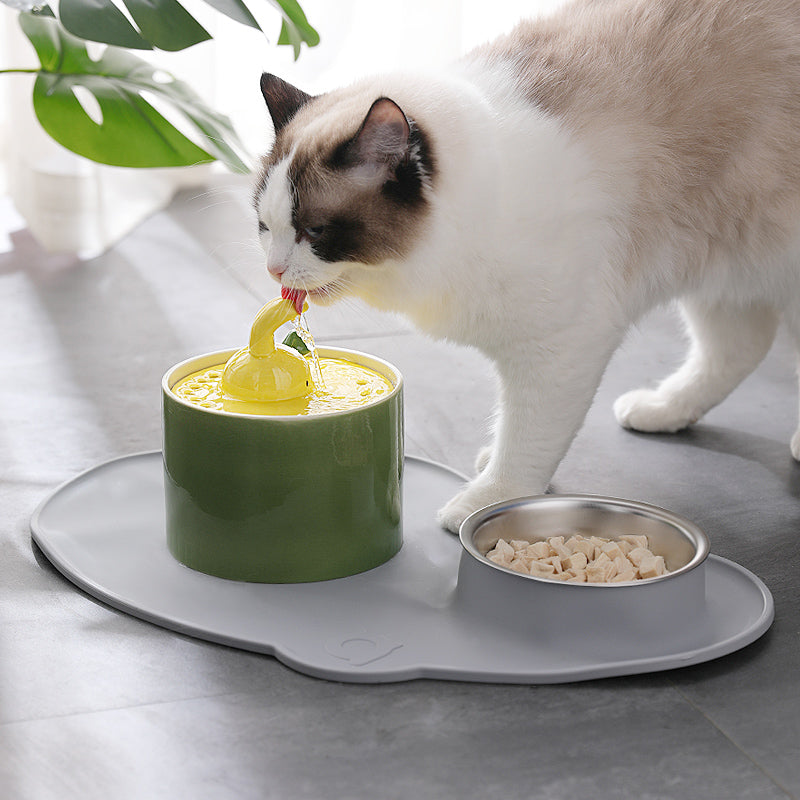 Pet Waterer Dog Water Basin